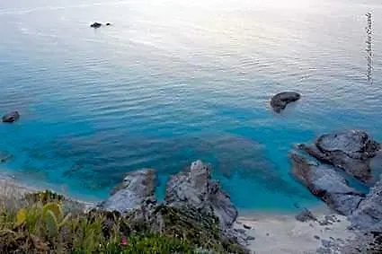 Barbieri Vibo Valentia Marina